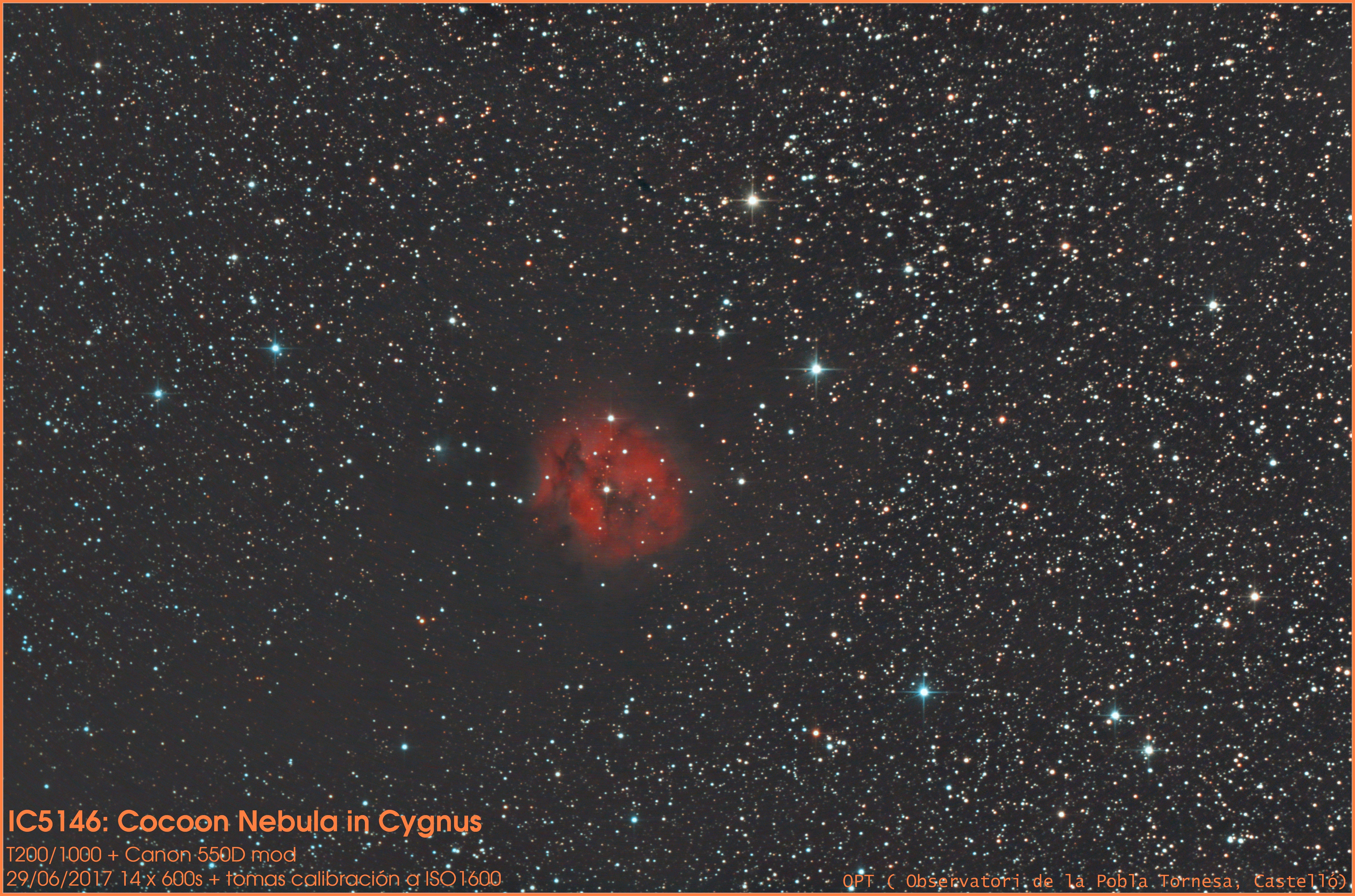 Cocoon_14x600_RA_10grados_Autosave001PIXPSCS3GXTHLVGDSNRLCEB&C_leyenda